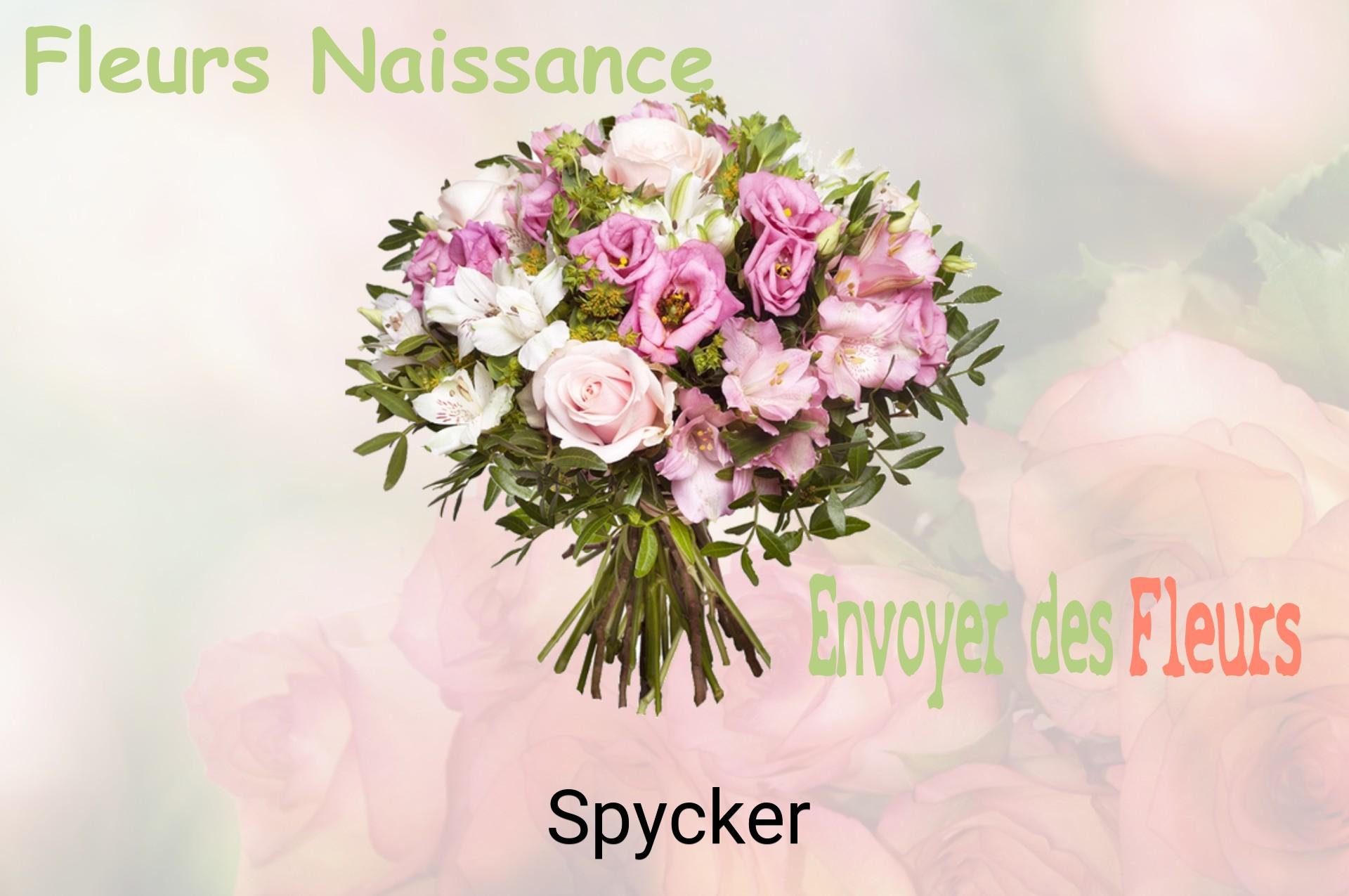 Bouquet de fleurs de naissance livré à Spycker